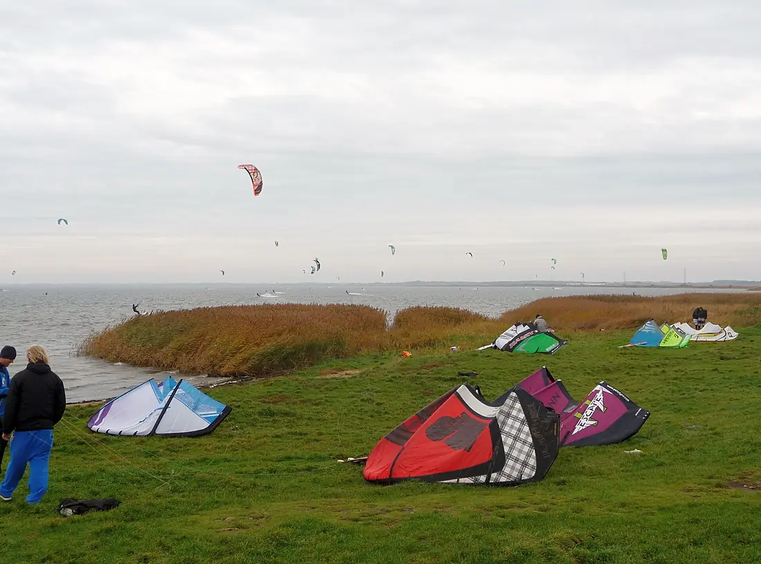 2014-10-XX Dänemark Mitteljütland Ringkøbing Fjord