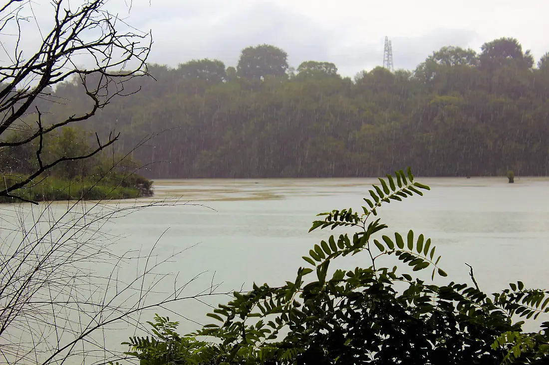 Il Tevere alla riserva naturale di Nazzano, in un giorno di pioggia