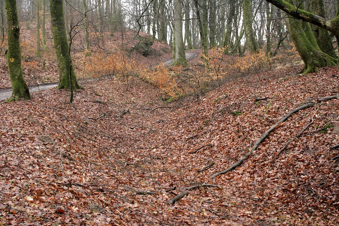 Rold Skov sildevejen 1
