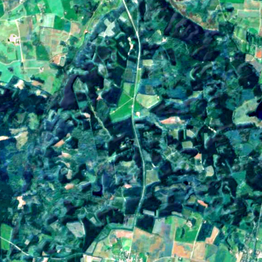 Rold Skov seen from above (Sentinel-2)
