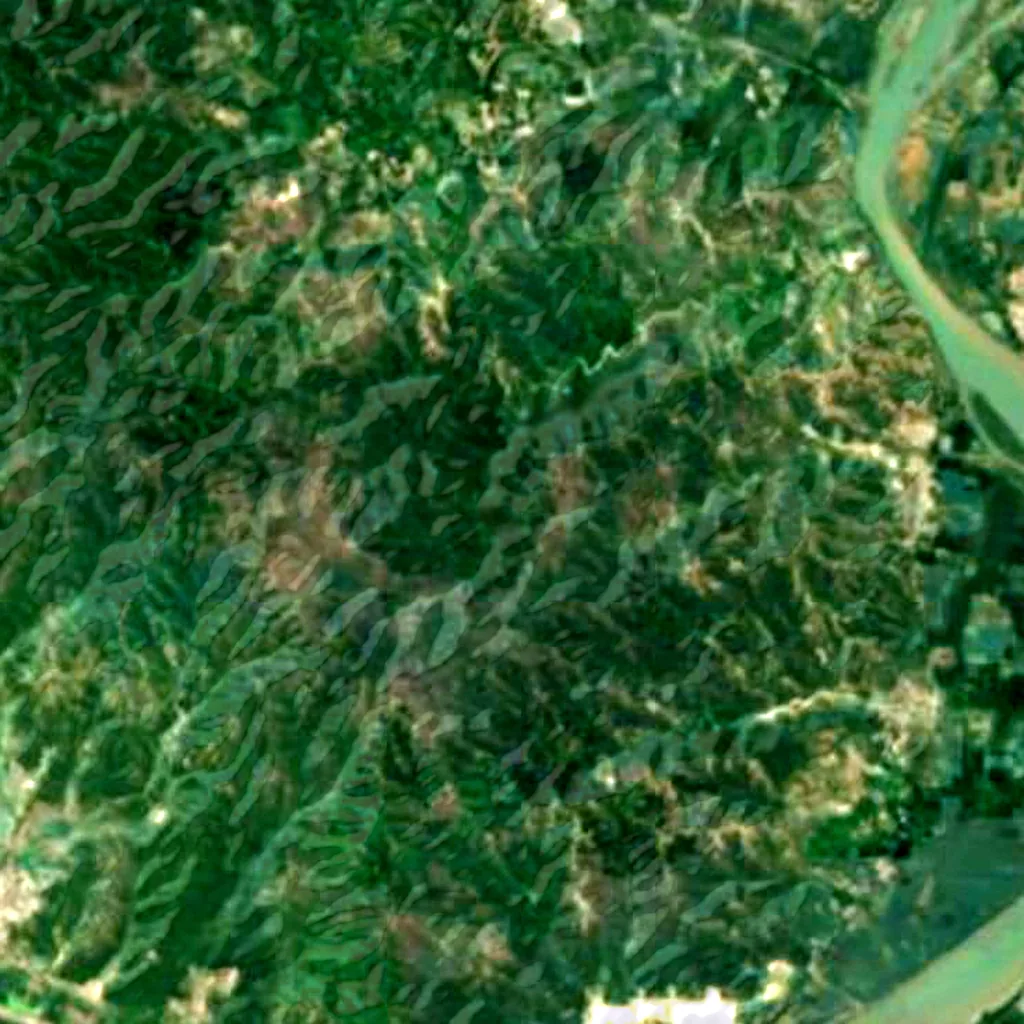 Ropar Wetland seen from above (Sentinel-2)