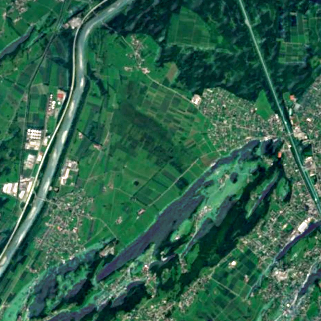 Ruggeller Riet seen from above (Sentinel-2)