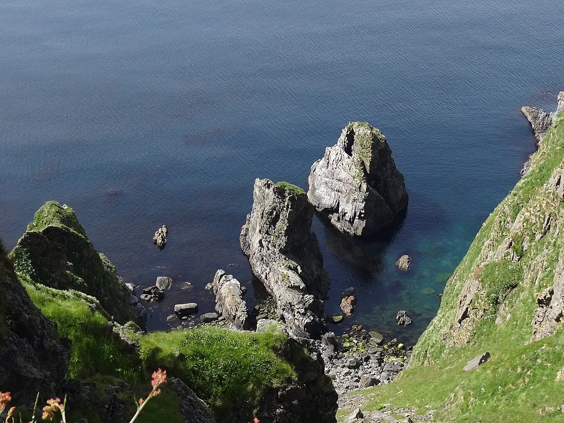 Fugleøya Runde 01