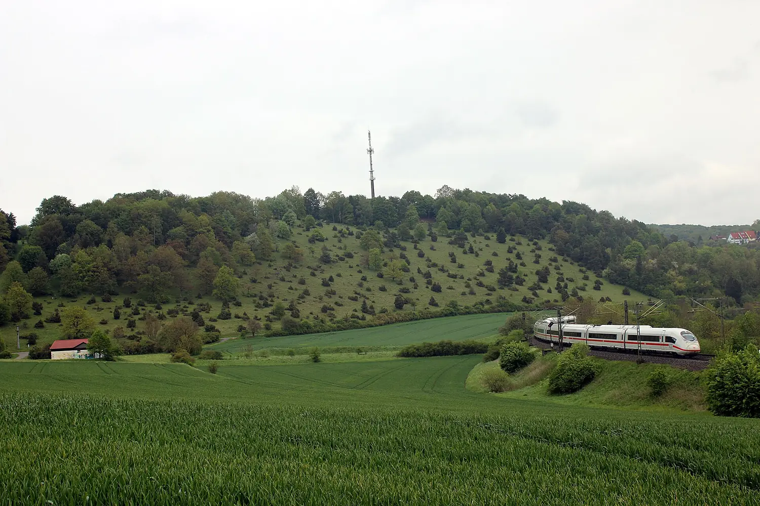 Naturschutzgebiet Salenberg