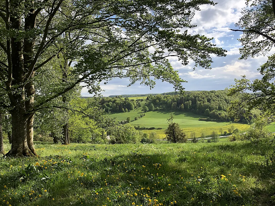Blick vom Salenberg