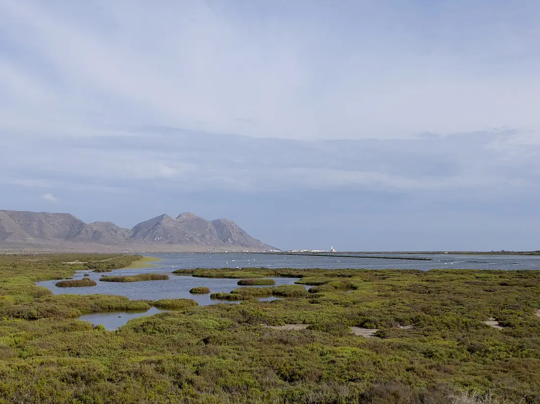 Cabo de Gata - las salinas de San Miguel