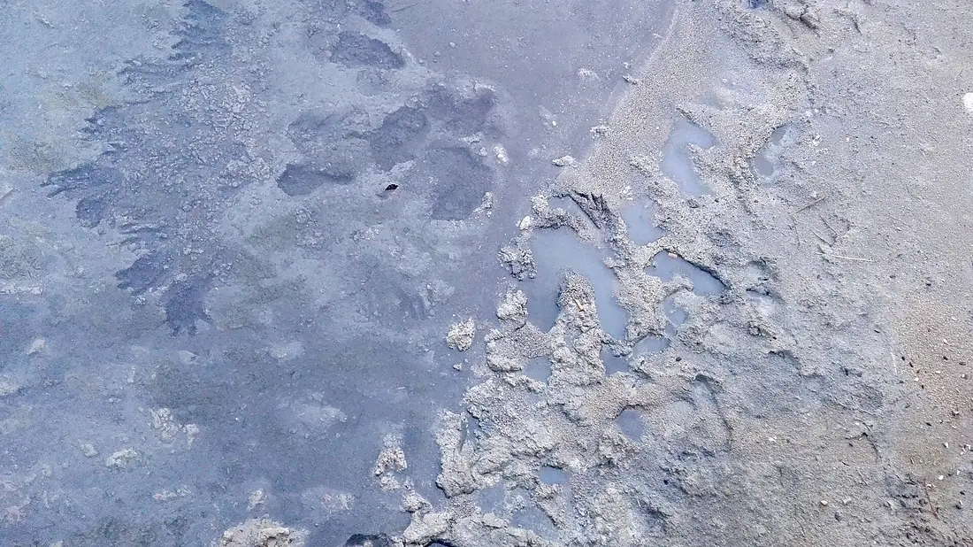 Baños de lodo en San Pedro del Pinatar