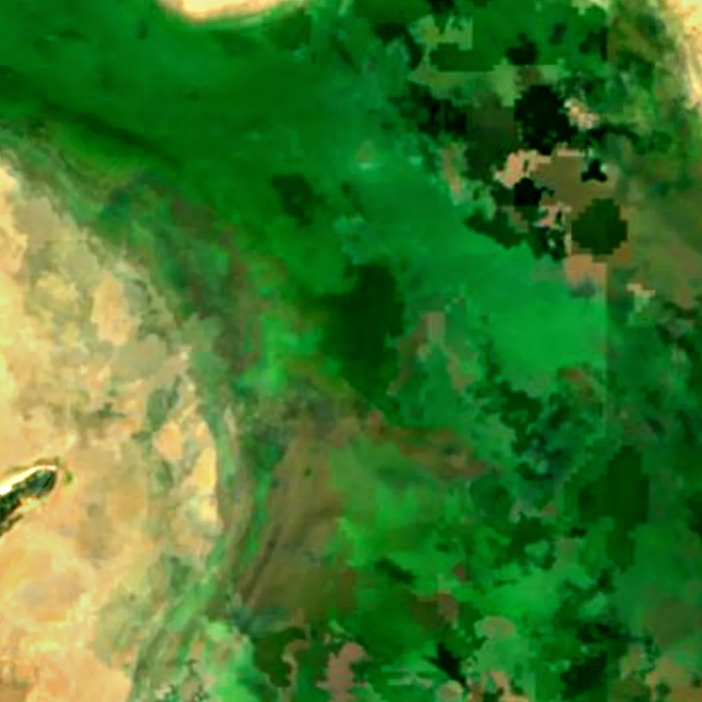 Sambhar Salt Lake seen from above (Sentinel-2)