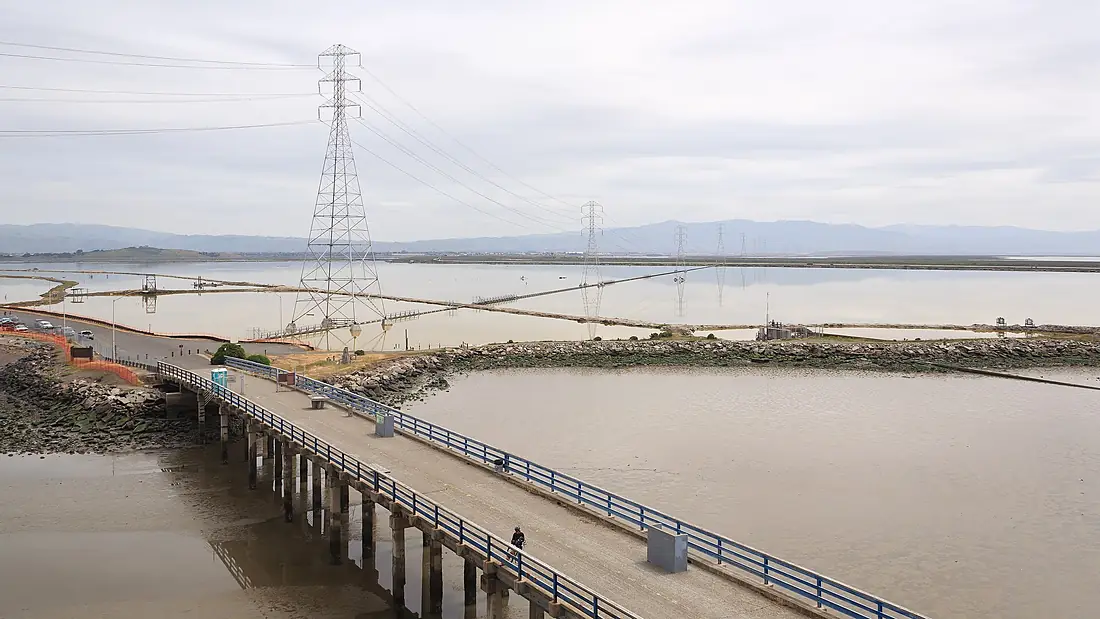 Dumbarton Bridge Fremont April 2011