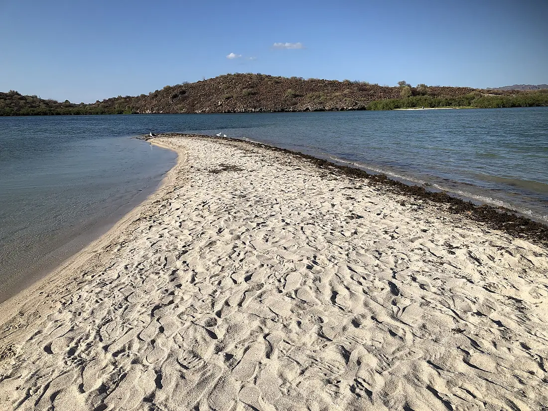 San Ignacio Lagoon