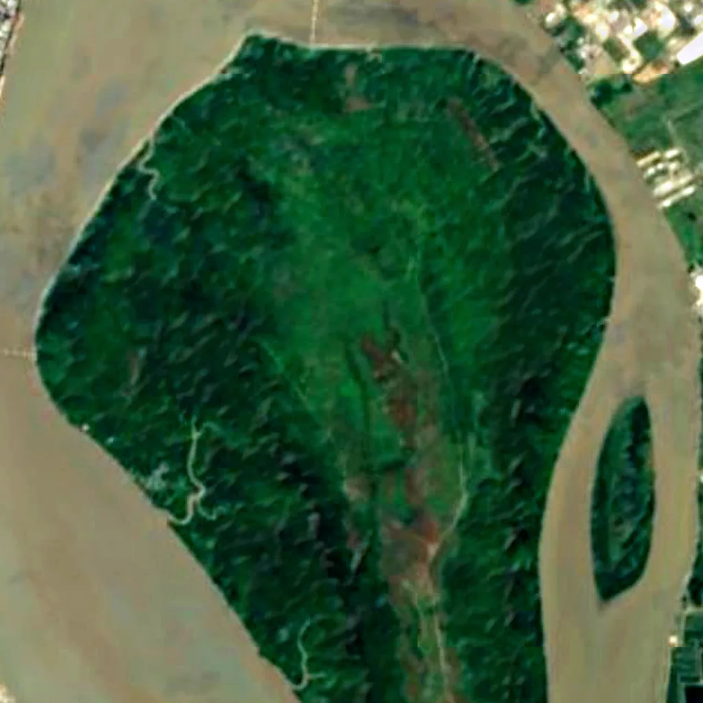 Santay Island seen from above (Sentinel-2)