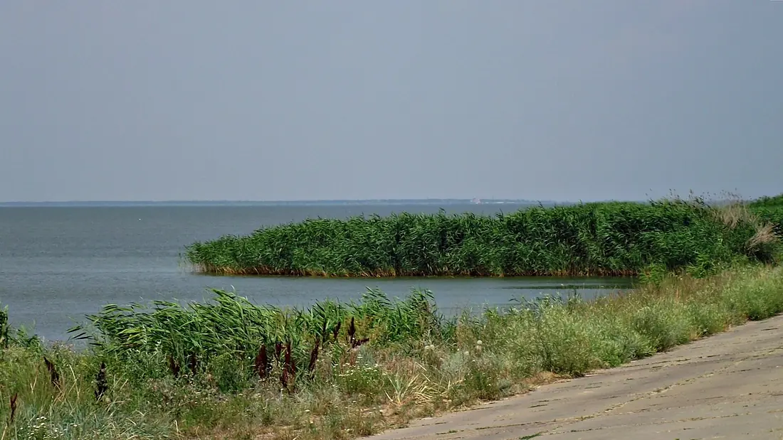 Tatarbunars'kyi district, Odessa Oblast, Ukraine - panoramio (12)