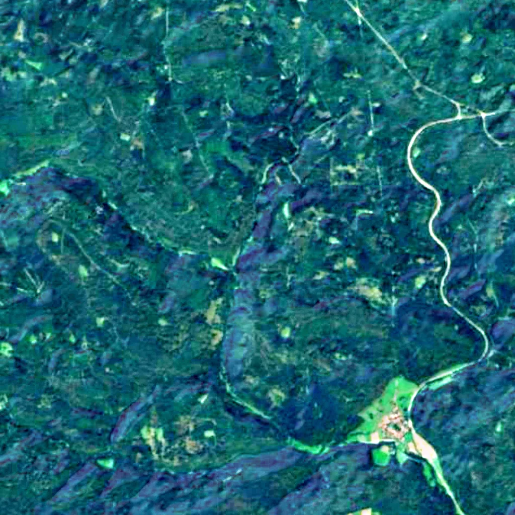Schönbuch seen from above (Sentinel-2)