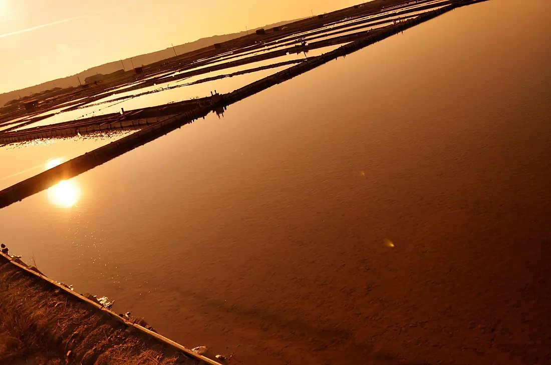 Deep abstract art (Sečovlje salt pans) (2943337824)
