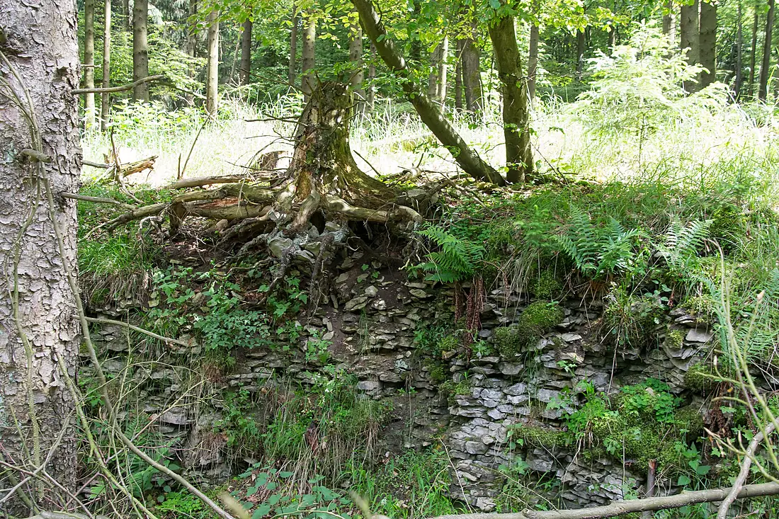 Detmold - 2014-05-25 - LIP-066 - Cheruskerweg (3)