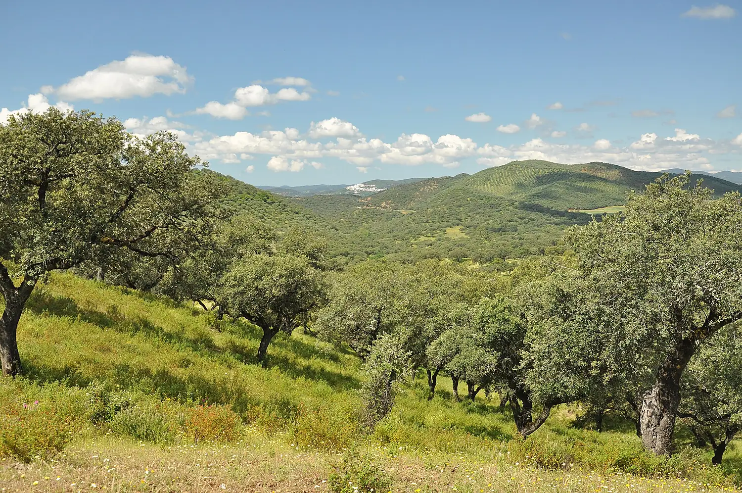 Zufre Sierra de Aracena y Picos de Aroche