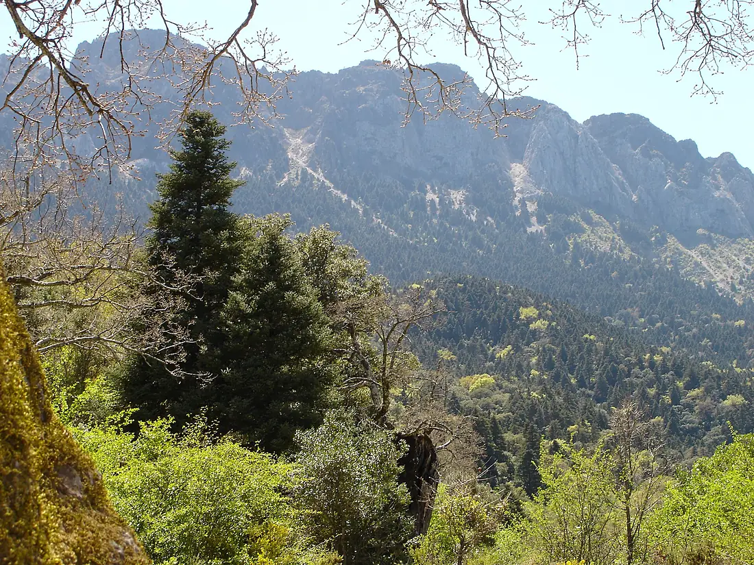 Sierra del Pinar (panorámica)
