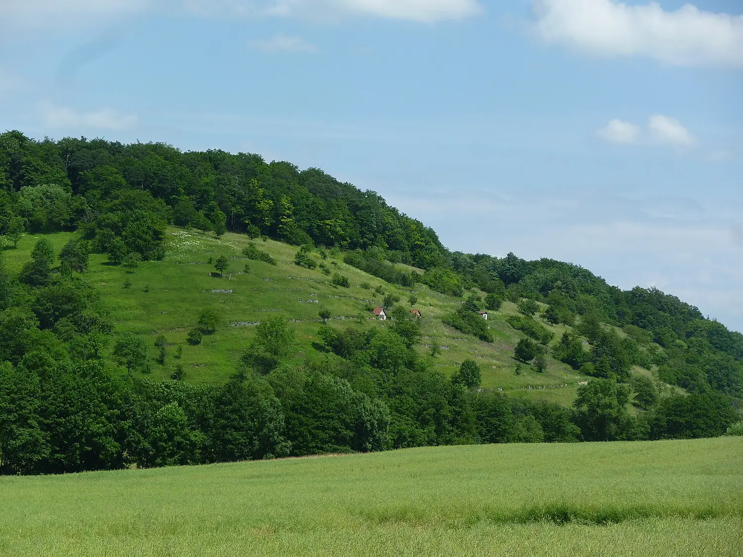 Unterer Berg Kirbachtal