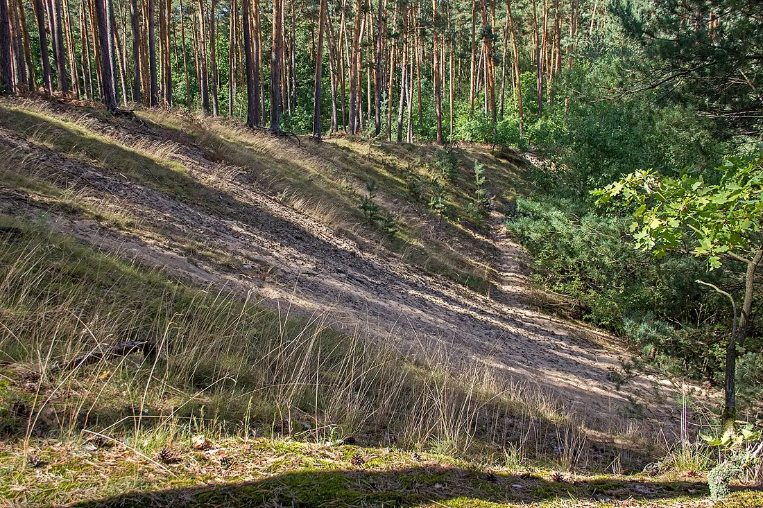 NSG Sandfluren bei Volkach 01