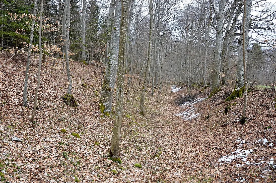 Burg Gräbelesberg, Wallgraben