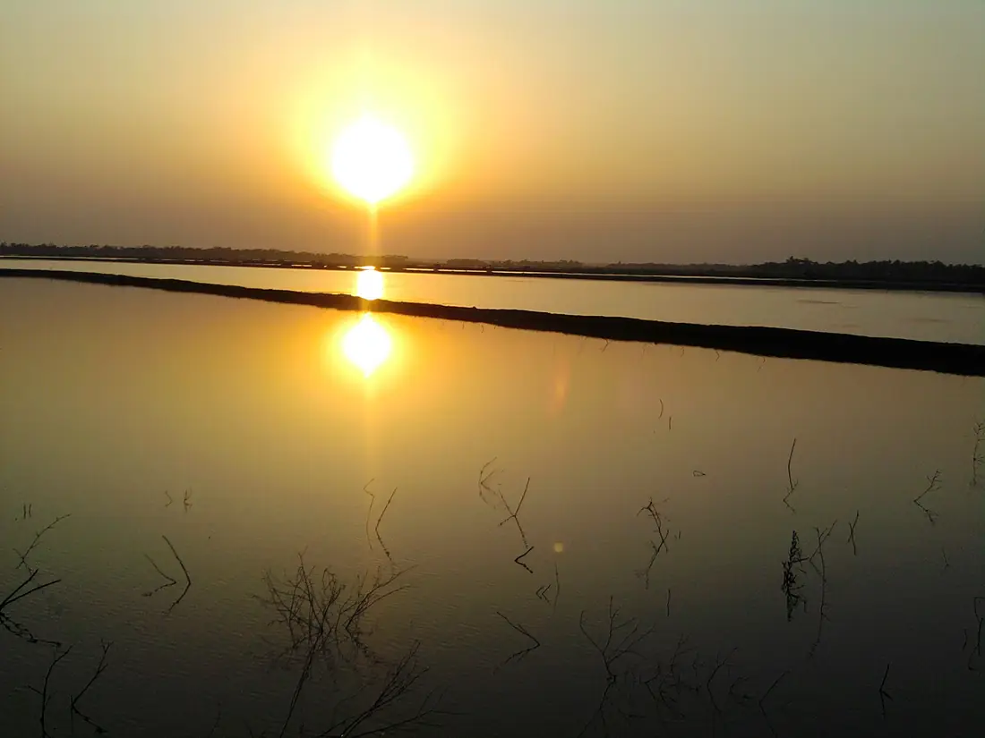 Amazing sunset of Sundarbans