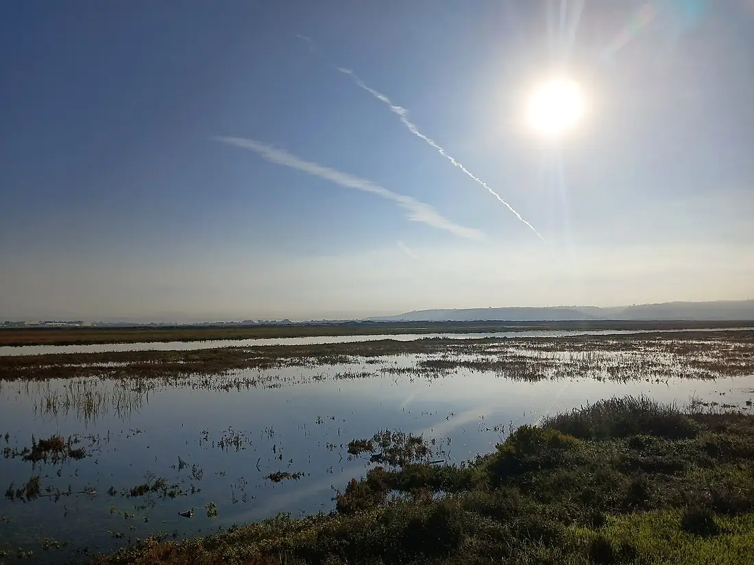 Tijuana Estuary 01