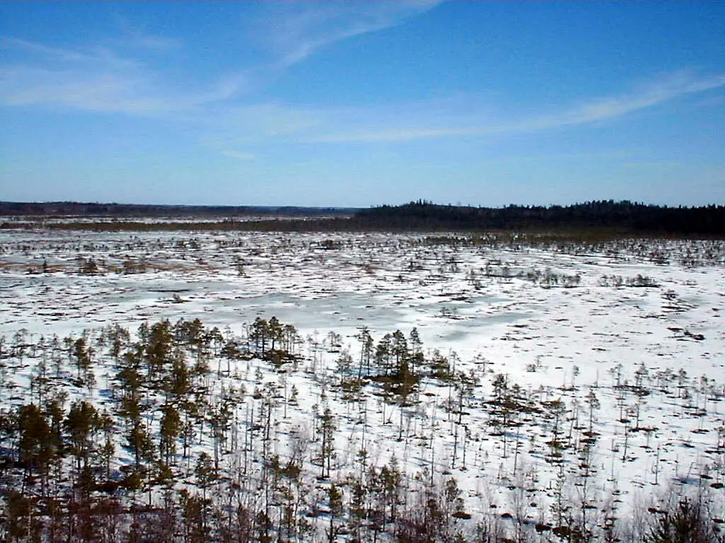 Torronsuo National Park