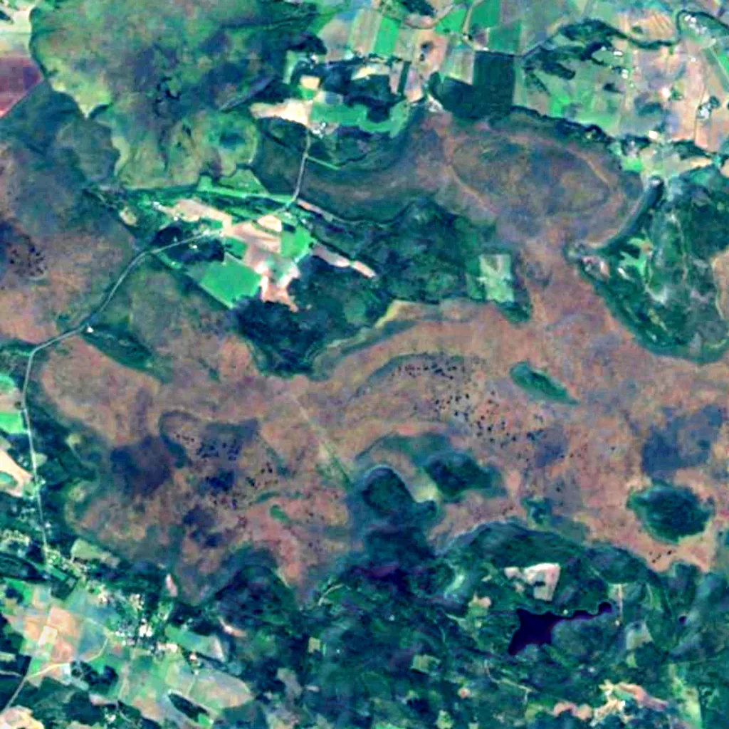 Torronsuo National Park seen from above (Sentinel-2)