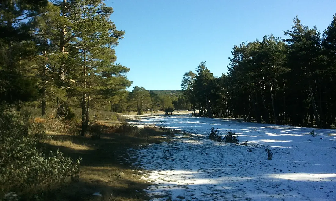 La fuente del Caño, Bronchales