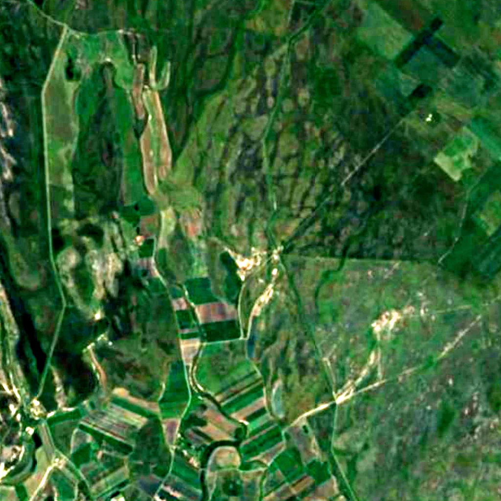Upper Kiskunság alkaline steppes seen from above (Sentinel-2)