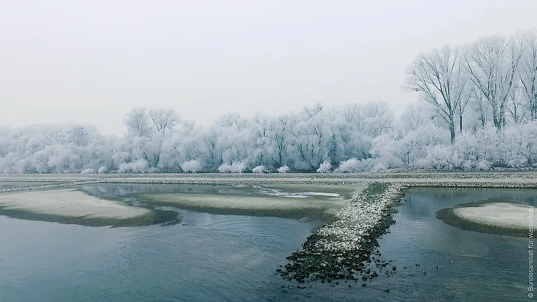 Der Oberrhein südlich von Karlsruhe (29617537428)