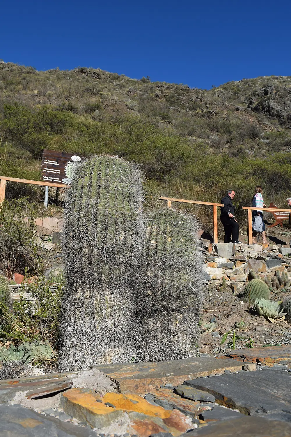 Reserva natural Villavicencio - Jardín de cactus