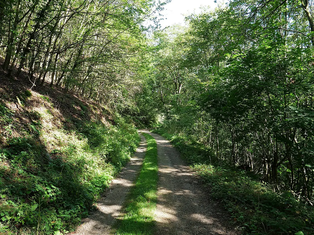 Around Schlehbach between Schmidt and Brück 07