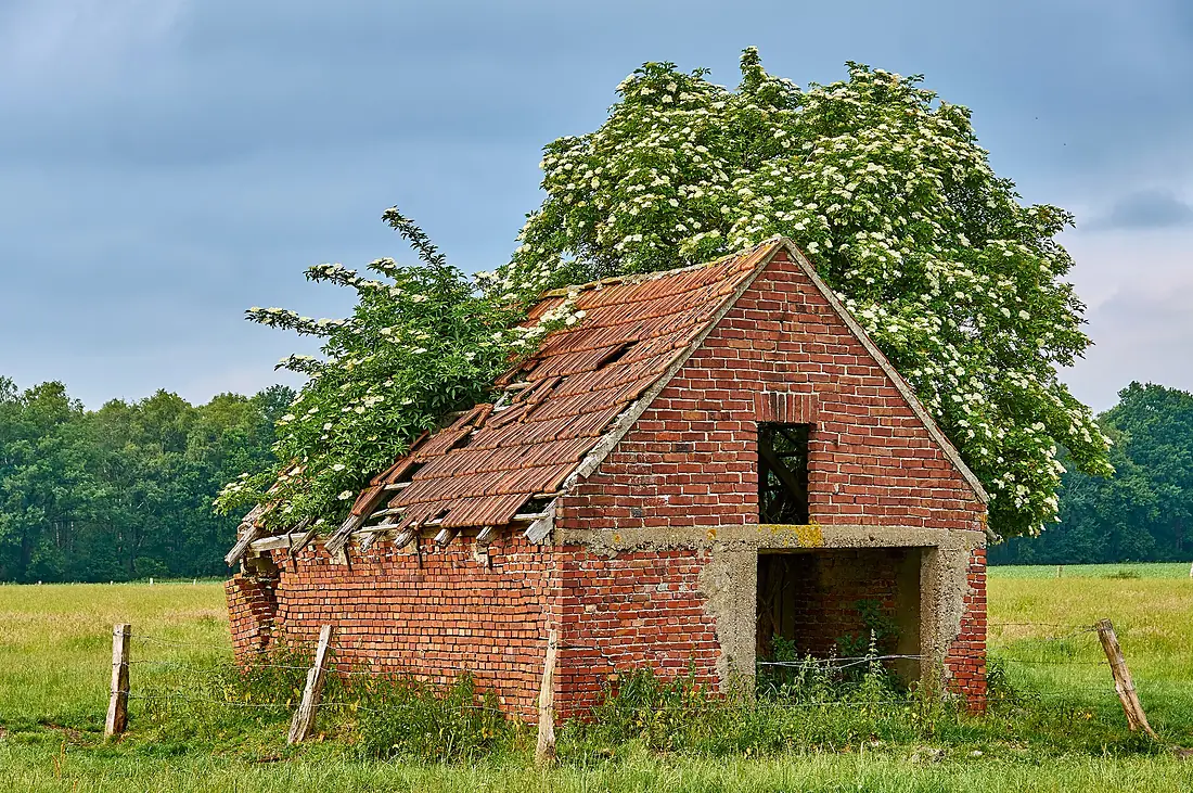 20150614 Scheune in Wennewick, Vreden (DSC00865)