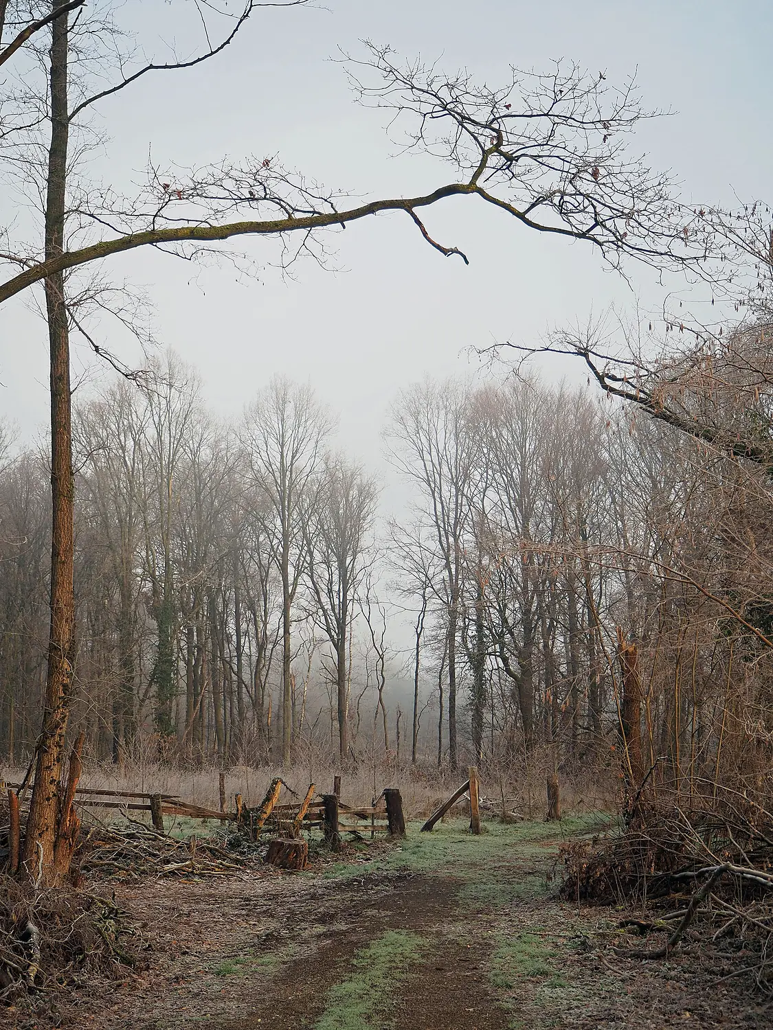 2019 01 18 Vogelschutzgebiet Schwalm-Nette-Platte (DE-4603-401)