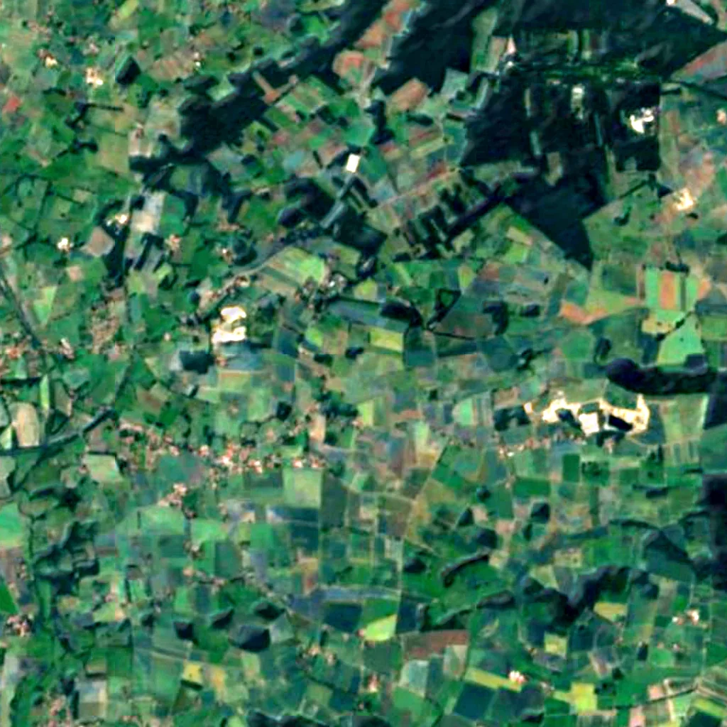 Vogelschutzgebiet Weseraue seen from above (Sentinel-2)