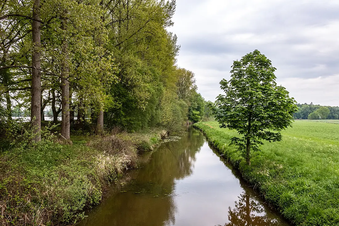 Dülmen, Kirchspiel, Heubach -- 2021 -- 0521
