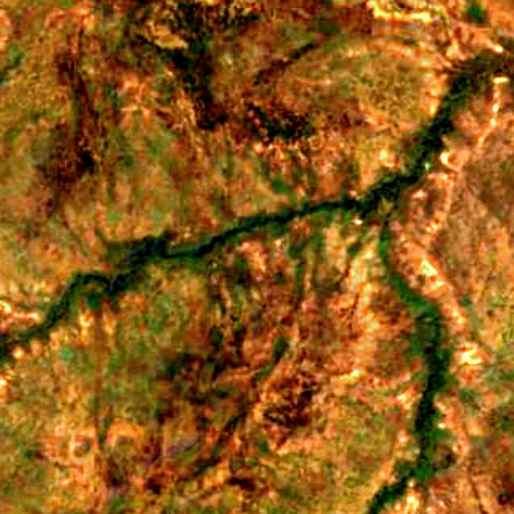W National Park of Benin seen from above (Sentinel-2)