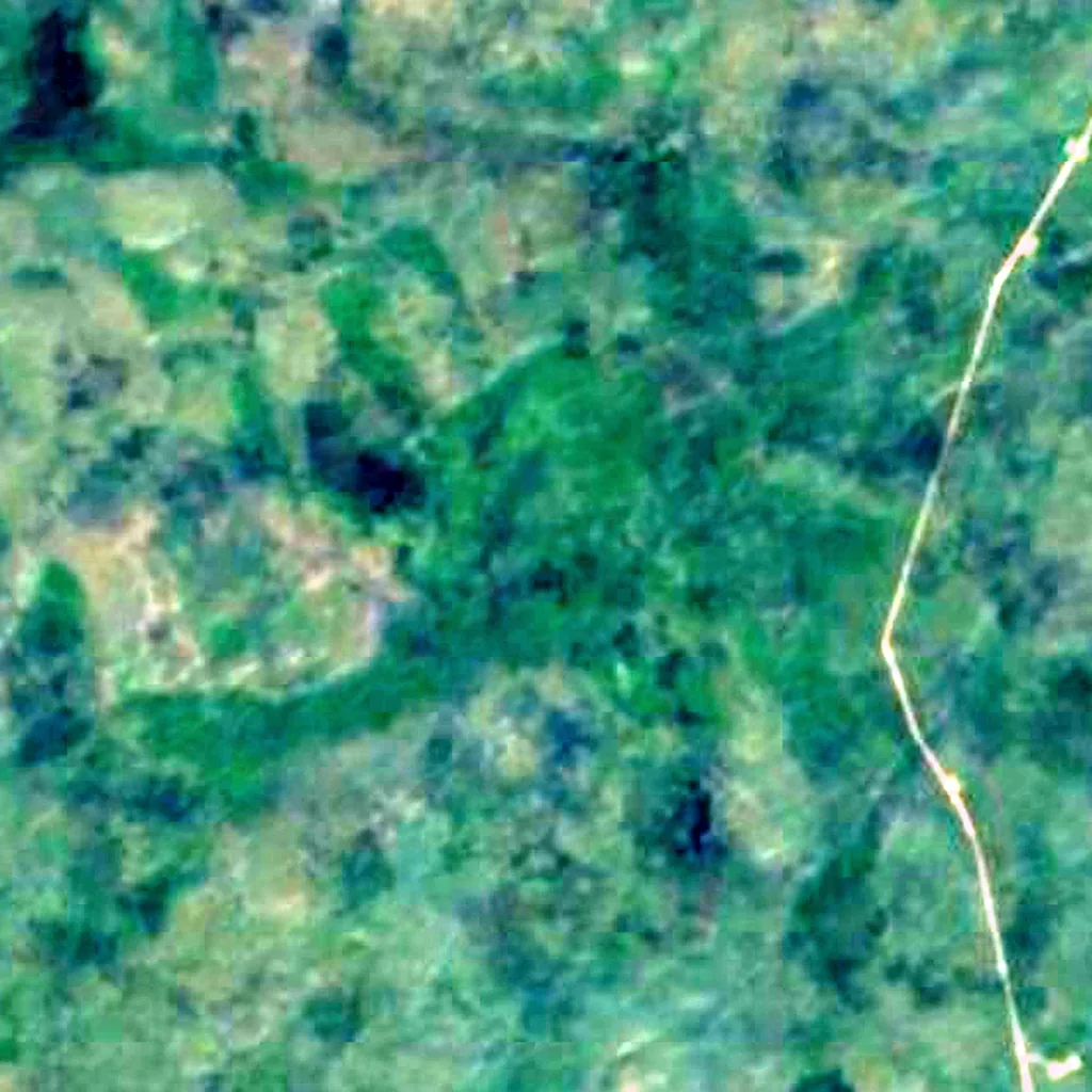 Wasur National Park seen from above (Sentinel-2)