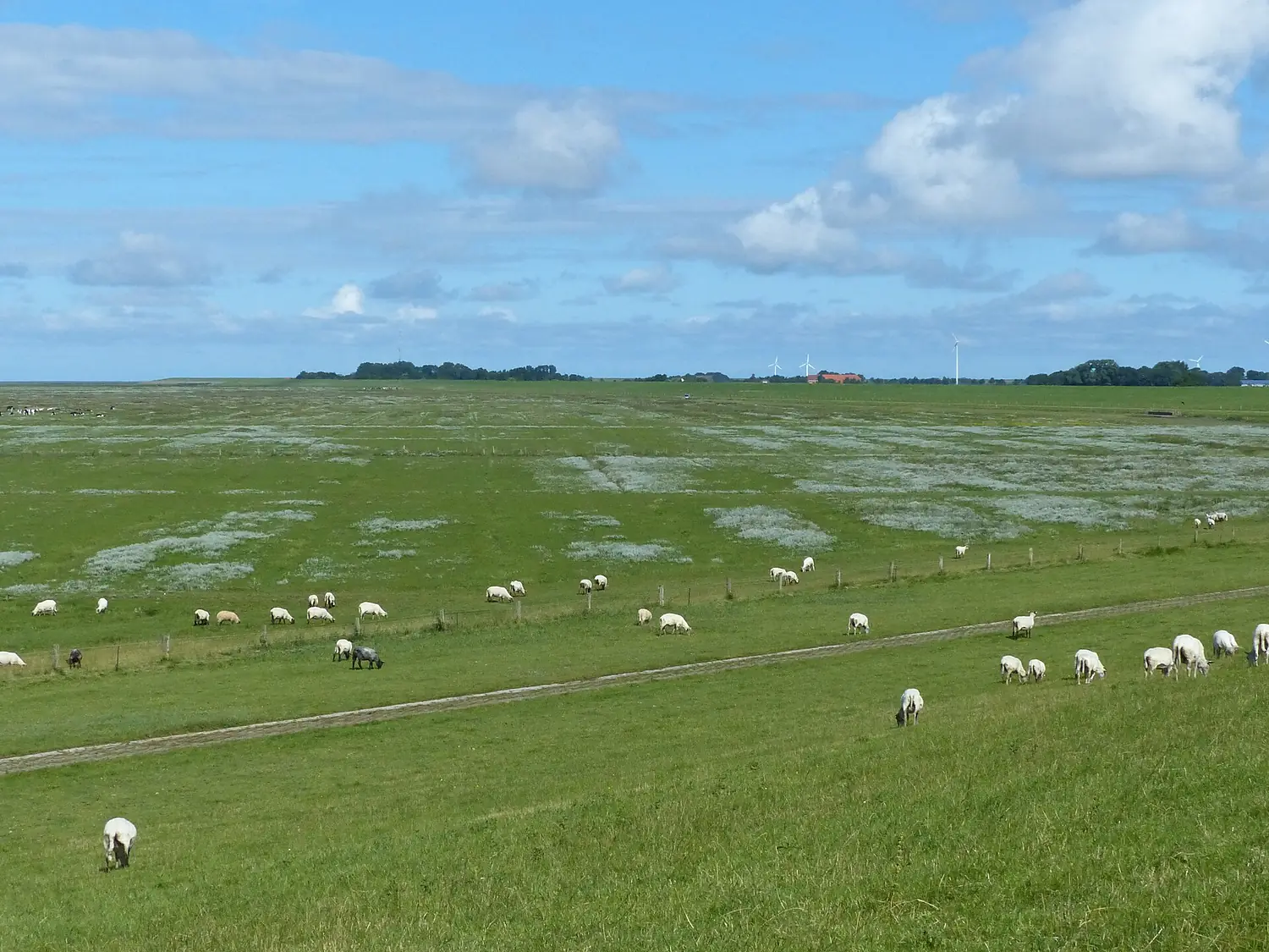 Leybucht Ostseite, Sendemast Norddeich561