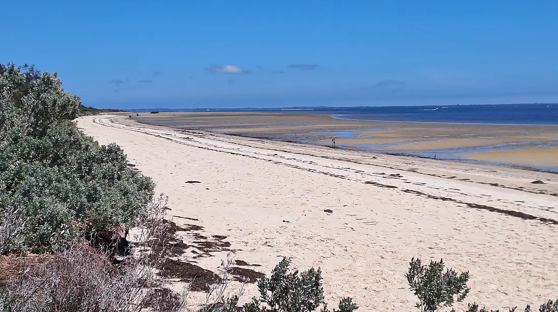 French Island Fairhaven beach at low tide
