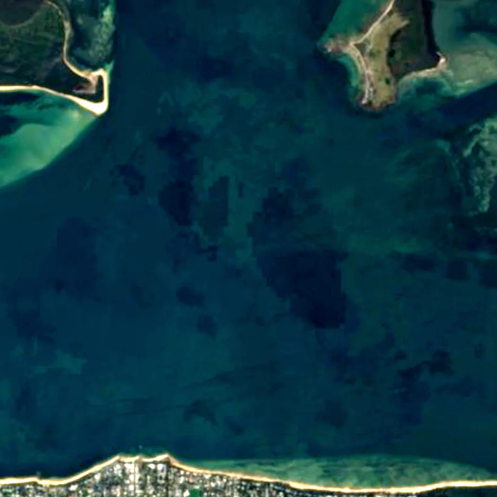 Western Port seen from above (Sentinel-2)