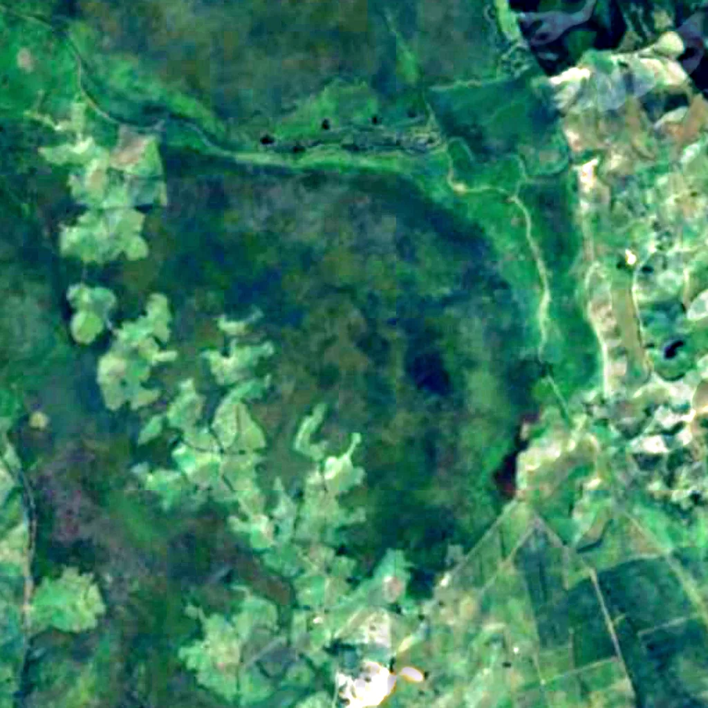 Whangamarino Wetland seen from above (Sentinel-2)