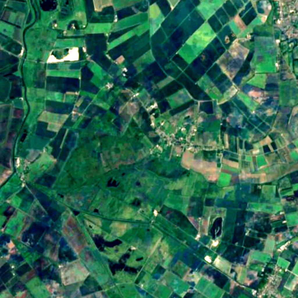 Wicken Fen seen from above (Sentinel-2)
