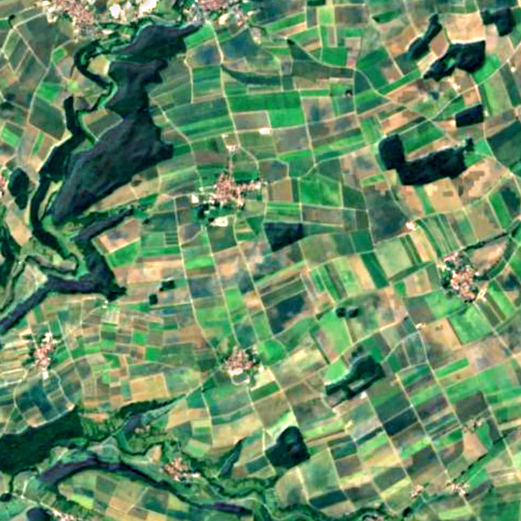 Wiesenweihe Taubergrund seen from above (Sentinel-2)
