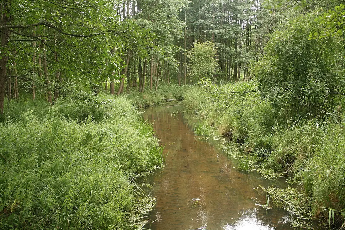 Wiatrołuża in Wigry National Park 01