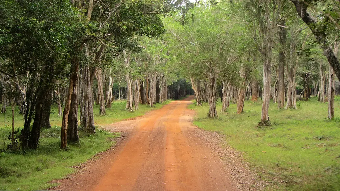 WilpattuNationalPark-April2014 (3)