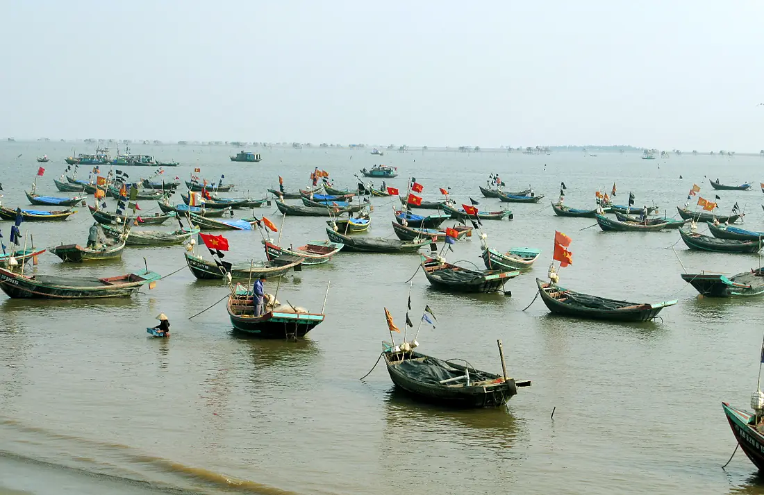 Traditional fishery