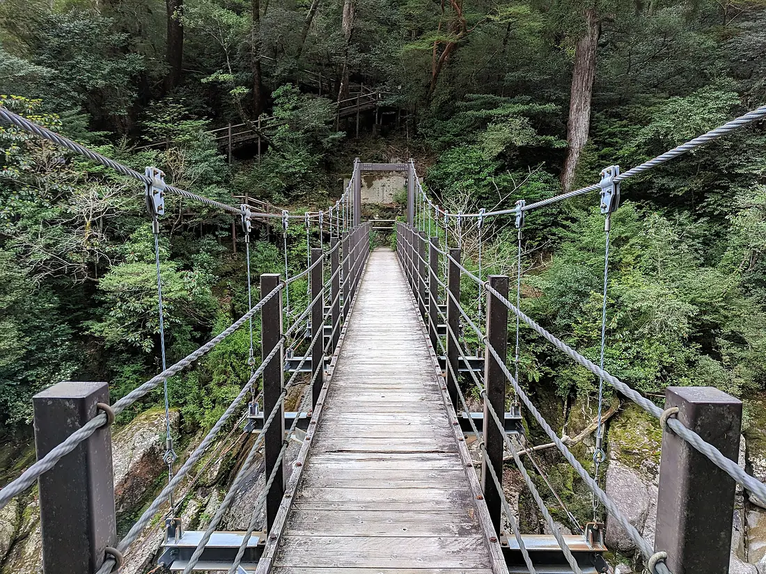 Suspension footbridge in Yakusugi Land