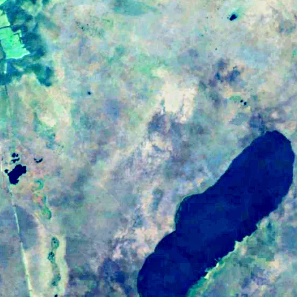 Yelnya Reserve seen from above (Sentinel-2)